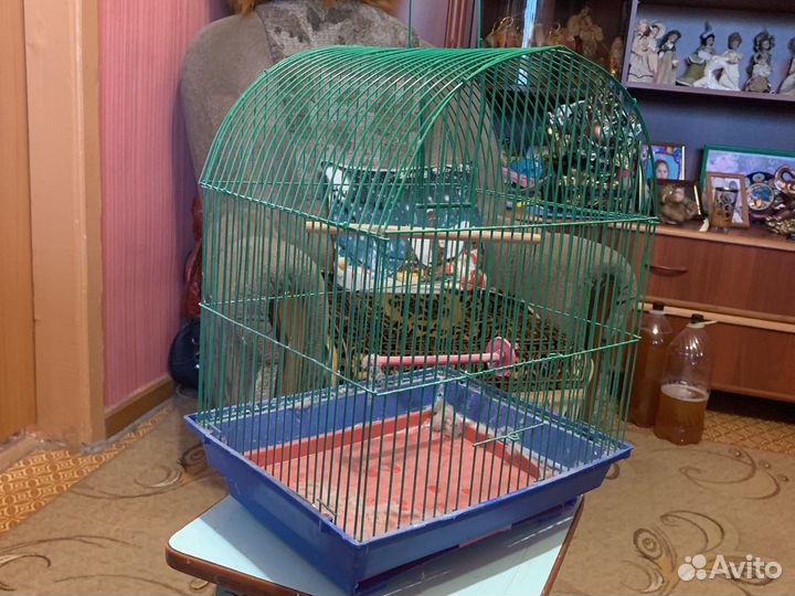 Клетка для птиц бу