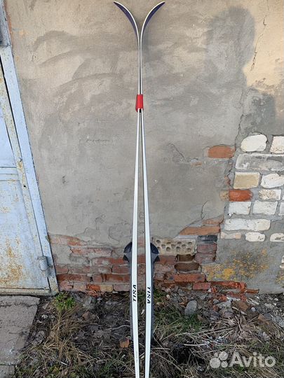 Лыжи беговые tisa