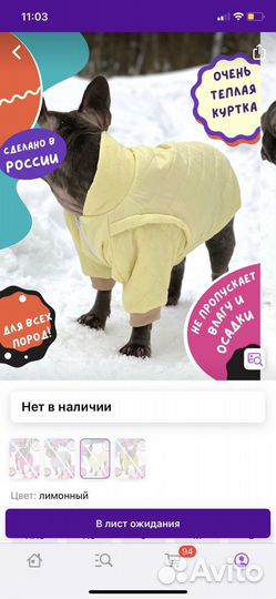 Одежда для собаки