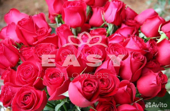 Букеты Цветы Розы 25 101 501 1001