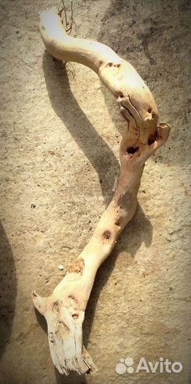 Пни и коряги для аквариумистики