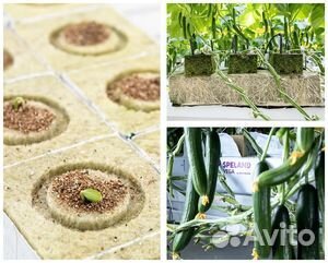 Кубики для рассады из мин.ваты