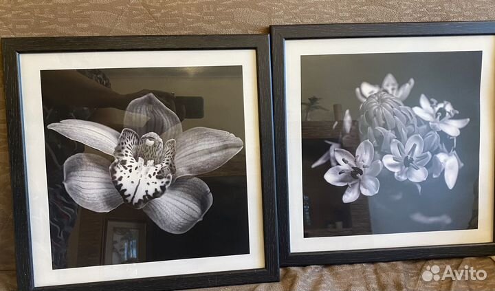 Картина IKEA постер в раме 2 штуки