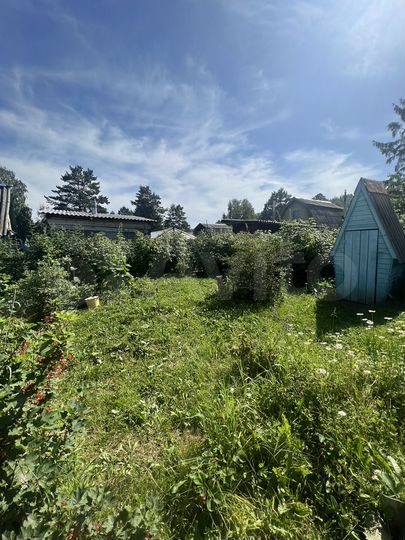 Дача 20 м² на участке 5,79 га