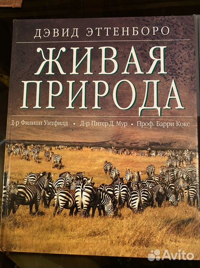 Сказки. Книги для детей