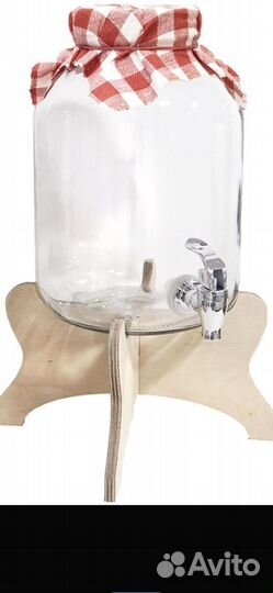 Чайный гриб комбуча