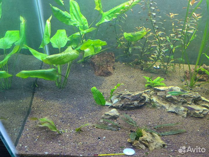 Аквариум 150 литров