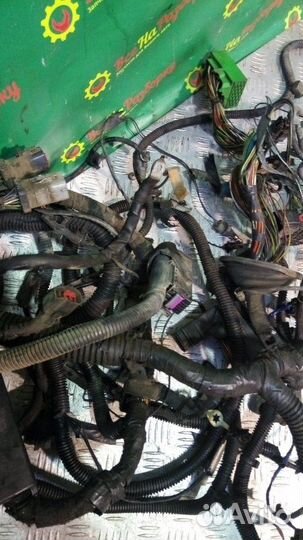 Проводка подкапотная Ford Focus 2 седан 1.6 2006