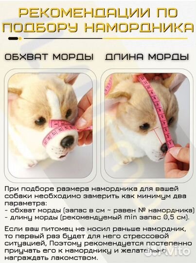 Намордник для средней собаки