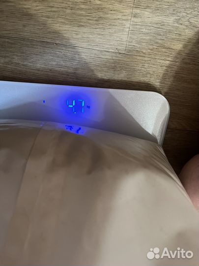 Корм для кошек Терра Кот