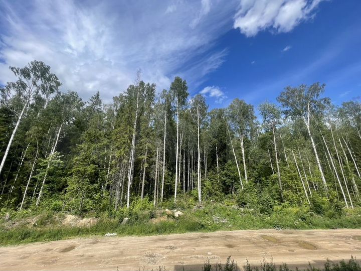 2-к. квартира, 55,8 м², 2/5 эт.