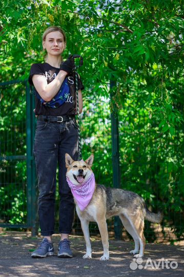 Собака в дар. Красавица принцесса Кэтрин