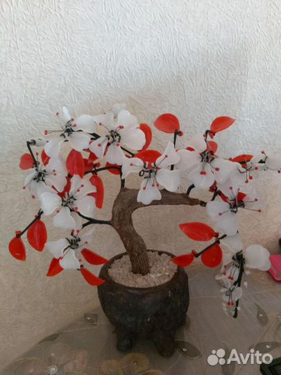 Сувенир сакура