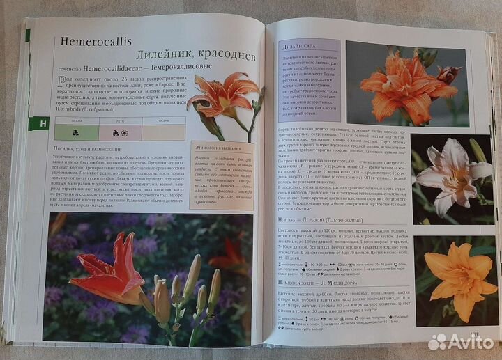 Справочник Библия садовых растений