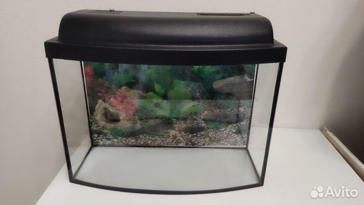 Аквариум