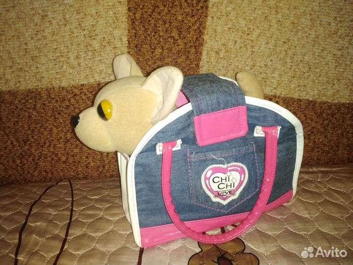 Собака чичи лав