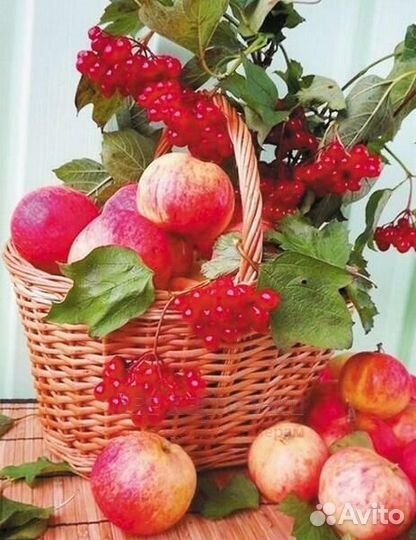 Алмазная мозаика 40x50 Корзинка с яблоками и калин