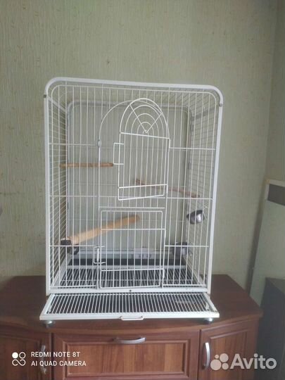 Корелла или для крупного попугая