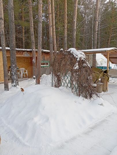 Дача 85 м² на участке 7,3 сот.