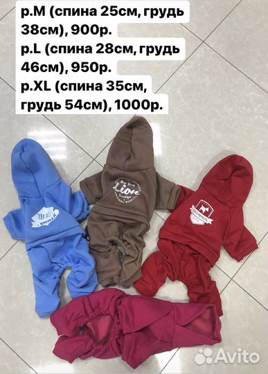 Одежда для животных