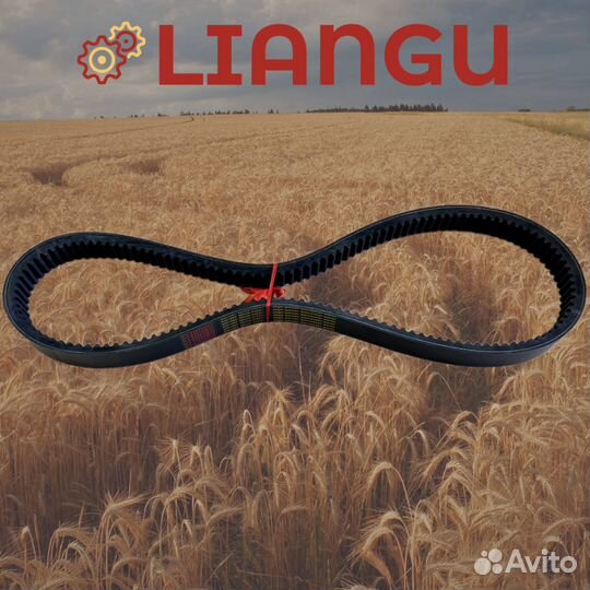 6201592 Ремень Liangu для Рсм