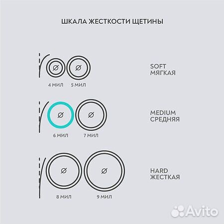 Президент з/щ профи Ortho (средняя)