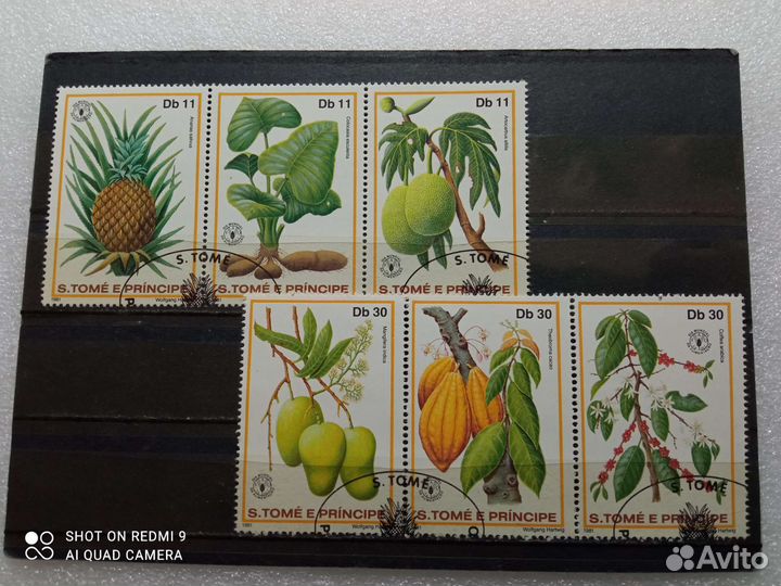 Марки на тему флора