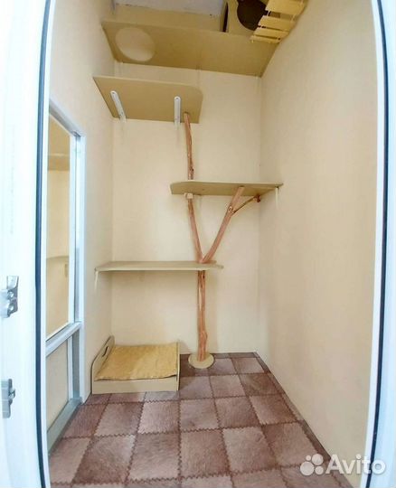 Зоогостиница