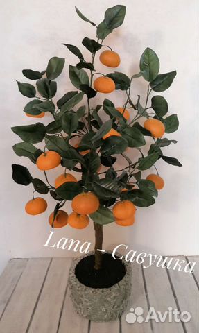 Мандариновое дерево с плодами