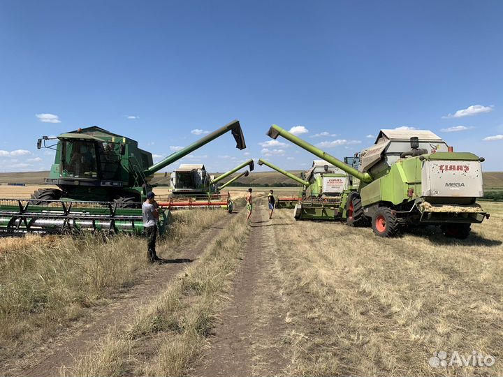 Уборка урожая 2022