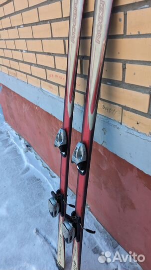 Горные лыжи