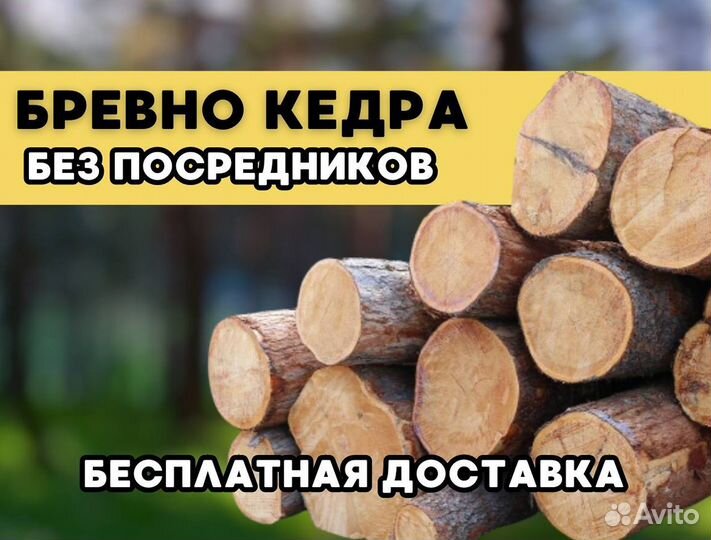 Бревна кедр