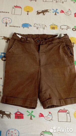 Шорты и рубашка для мальчика