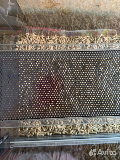 Террариум для рептилий