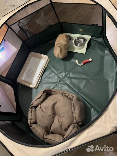 Вольер-тент для собак