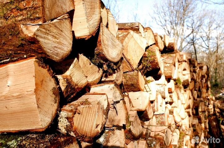 Дрова которые горят