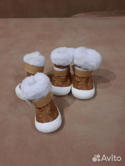 Обувь для маленьких собак