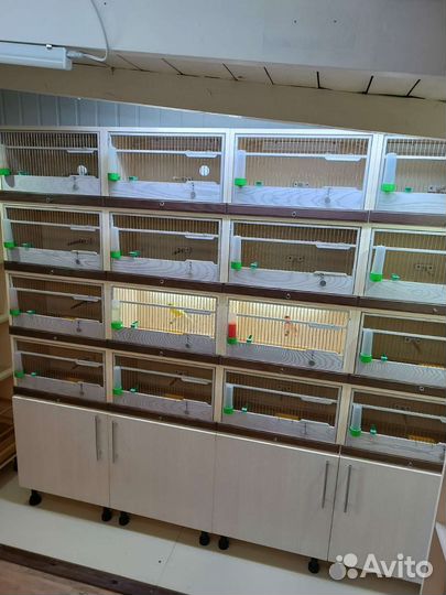 Изготовление клеток для птиц