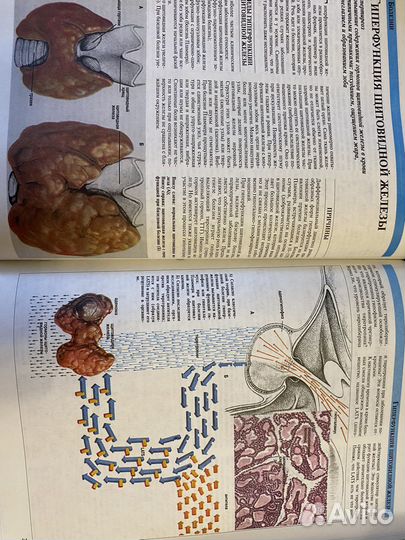 Большая медицинская энциклопедия