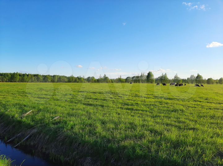 Участок 3,8 га (СНТ, ДНП)