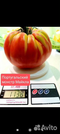 Семена томатов самые урожайные