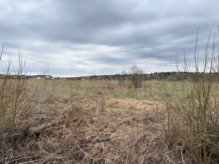 Участок 3,92 га (СНТ, ДНП)