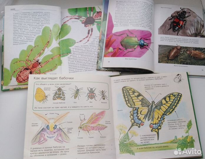 Книги 3 штуки: Бабочки Пауки Жуки Цена за 3 штуки