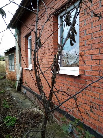 Дом 68 м² на участке 24 сот.