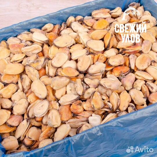 Мясо мидий Пермь