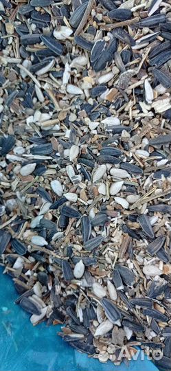 Вторые сорта семечки