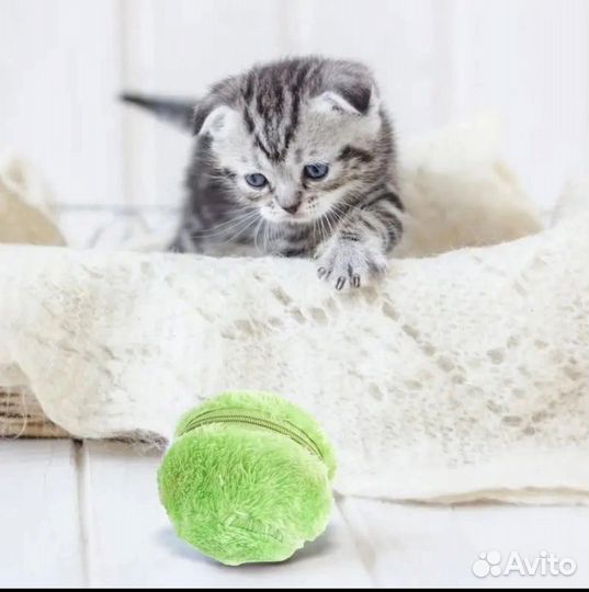 Шар-самокат