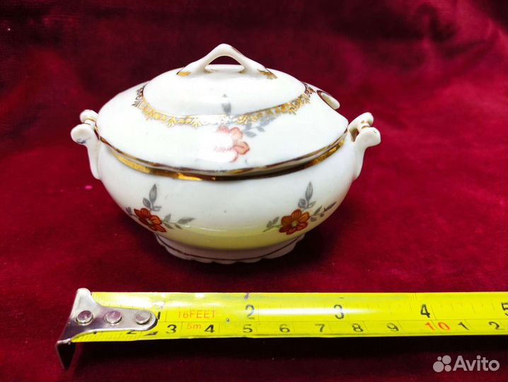 Горцичница