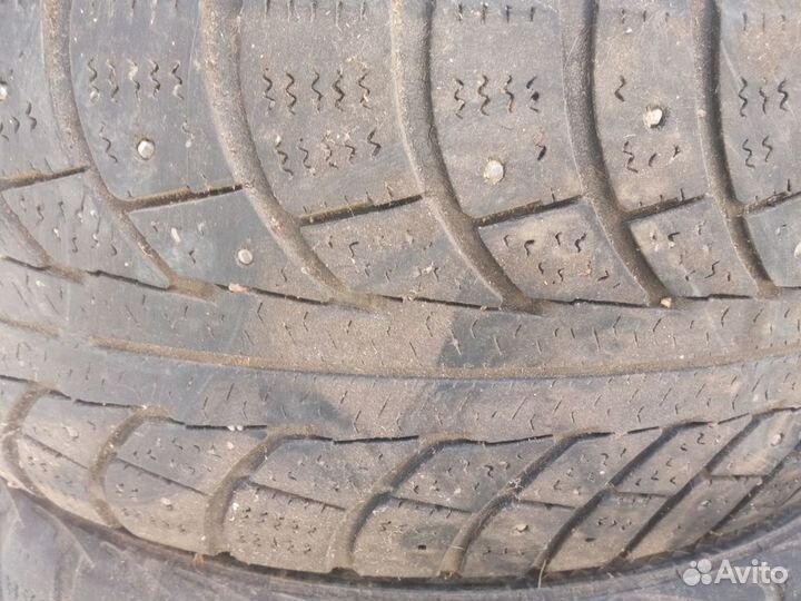 Gislaved Nord Frost 5 185/65 R15