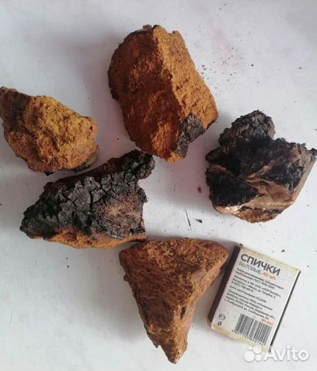 Чага берёзовая, кусковая